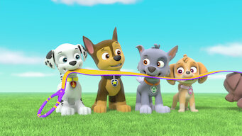 pups save the paw patroller